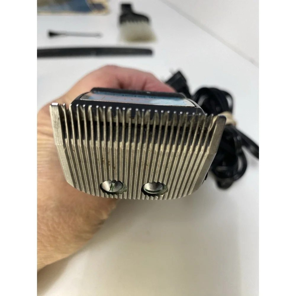 Sears vintage roebuck